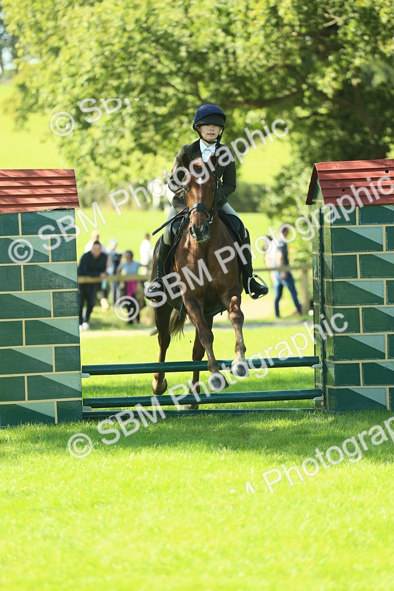 SBM_39165 - S29 - Novice & Newcomers Working Hunter Pony