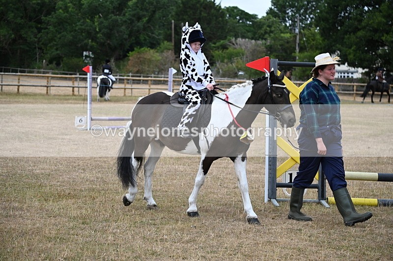 WJ6_8642 - Class 11 Fancy Dress