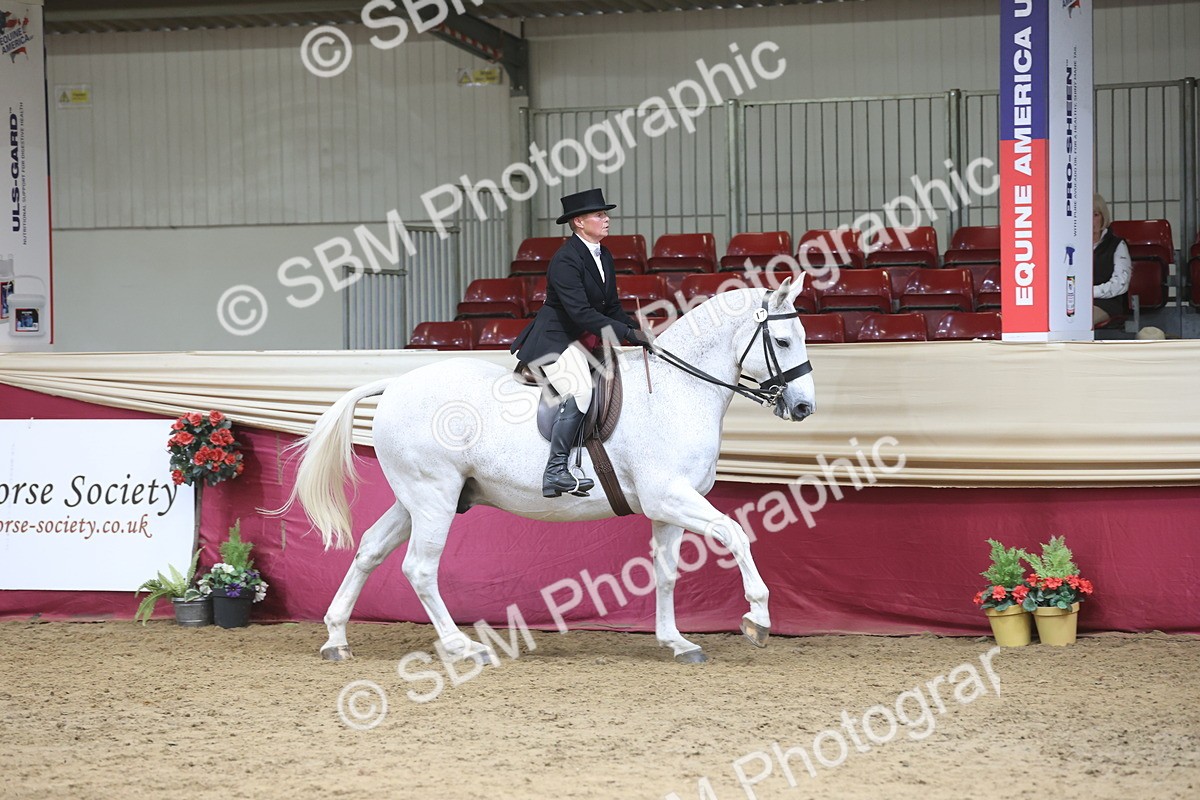 SBM_23724 - class 906 - Supreme Final - Ridden Pre Vet