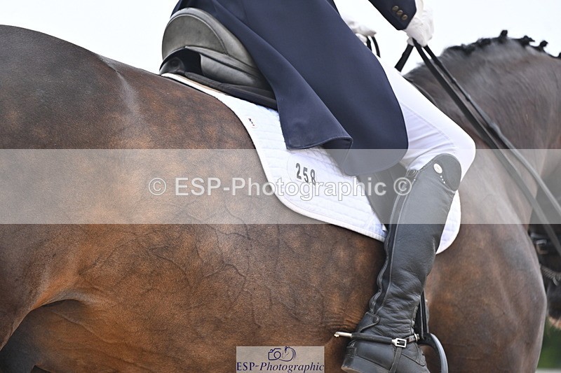 240815A-140916-01779 - 258-Clare.Hainsworth-Rudino