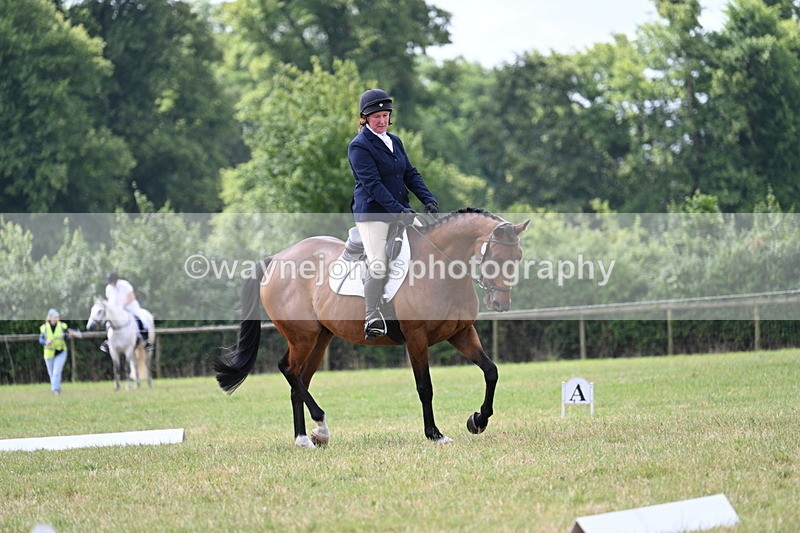 WJ7_2519 - Time 09:50 to 10:14