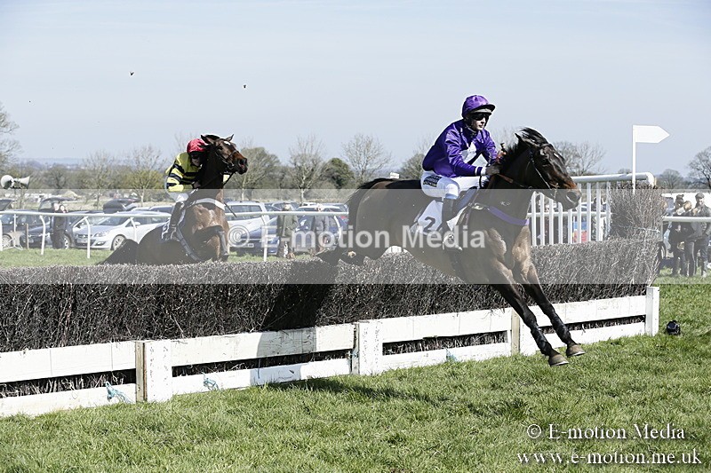 PtP 260317 50 - Mendip Farmers Point-to-Point Ston Easton 26/03/17