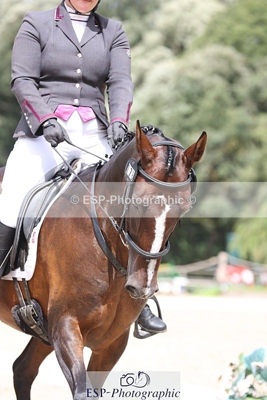 230812-135258-04330 - Cls 5 Novice Bronze 13.40 to 14.45 break