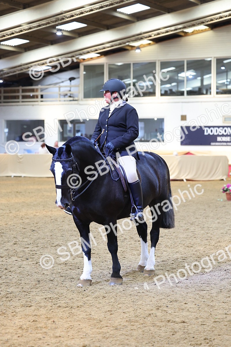 SBM_24156 - Class 905 - Supreme Final - Ridden Veteran