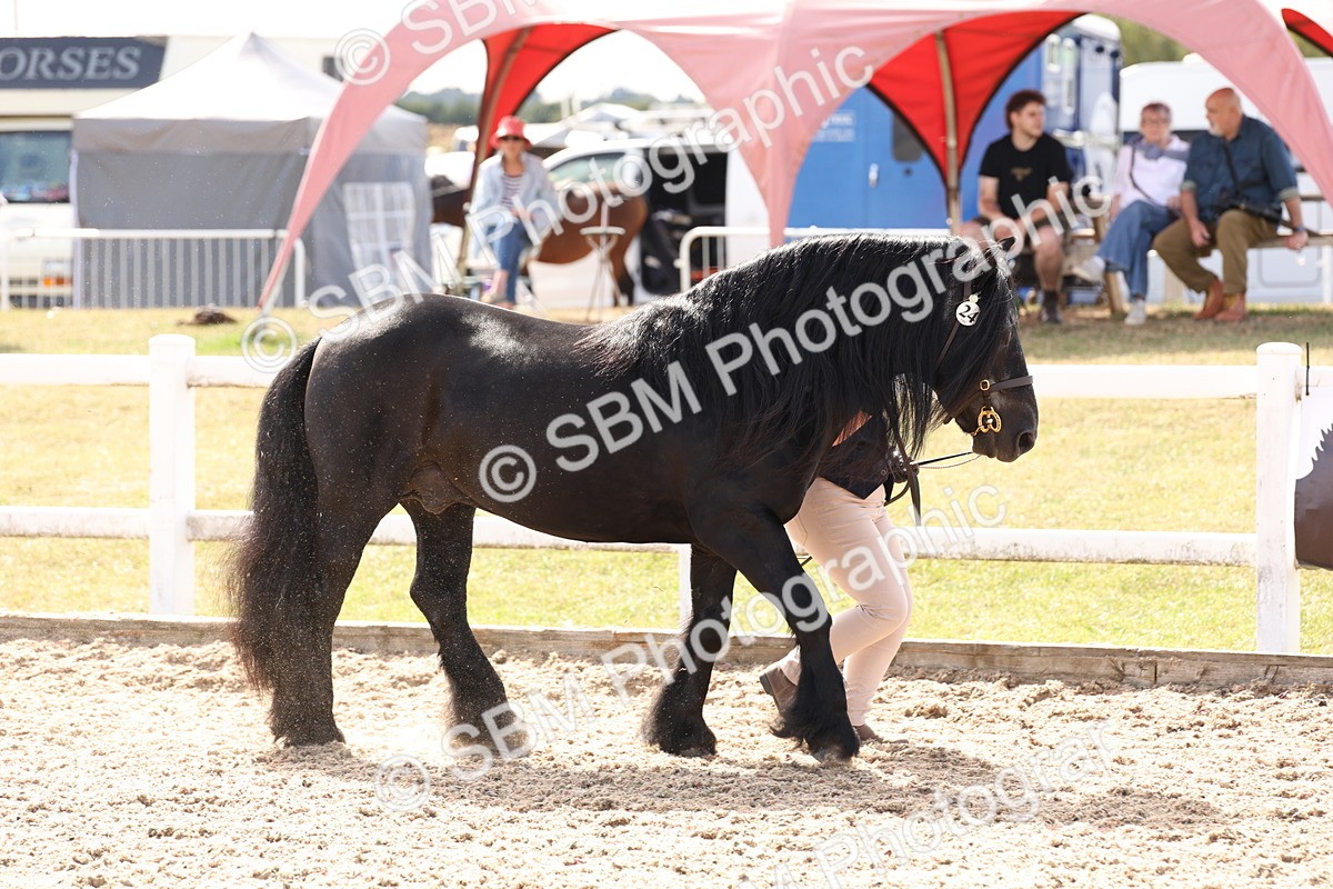SBM_15041 - Class 209 - IH Veteran Pony