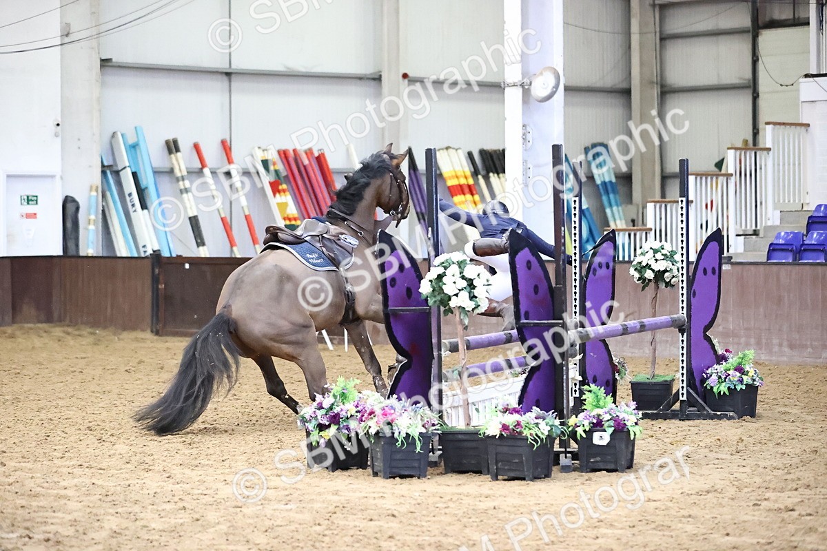 SBM_004005 - Class 14 - Senior British Novice - 90cm