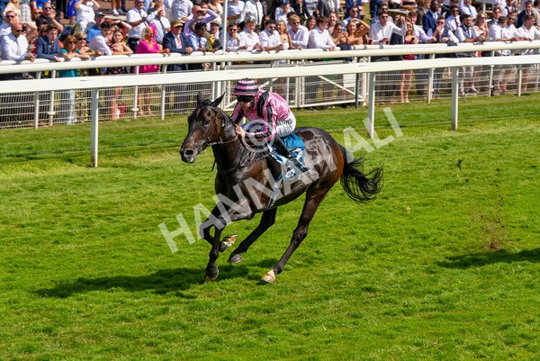 160623-Race 4-Chichester-6338 - Race 4 3.35pm Seat Unique Ganton Stakes