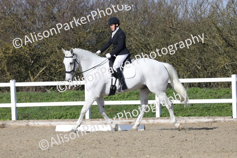 20260314-4892 - CT6 - Elementary 1