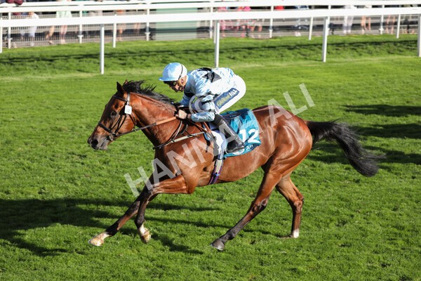 yr08102022r5-38 - Race 5 3.50pm The Coral Committed To Safer Gambling EBFStallions.com Maiden Stakes