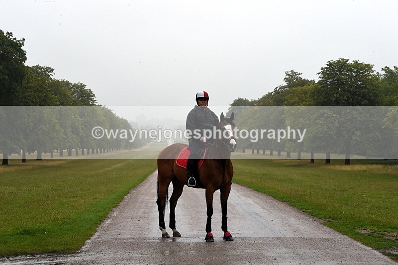 TT3_8398 - Time at Crossing 10:16 to 11:38