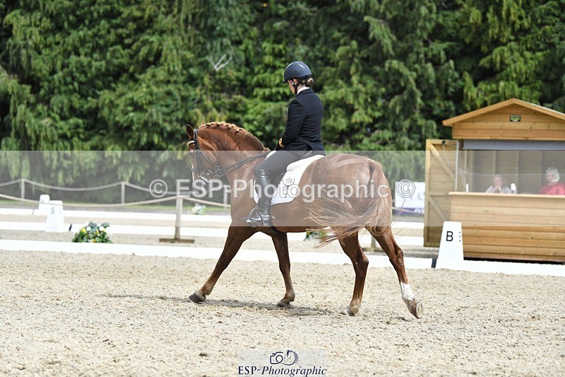 230812-141925-04668 - Cls 7 FEI PSG Bronze