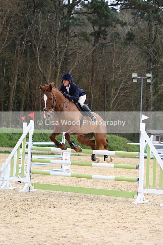 3E7A7755 - Class 9: Senior Foxhunter/1.20 open