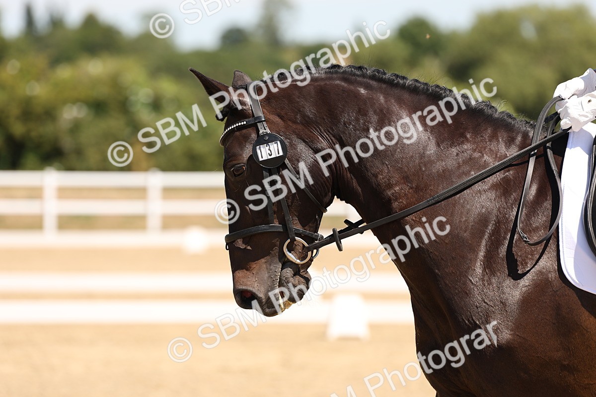 SBM_002129 - Elementary 4 Warm Up