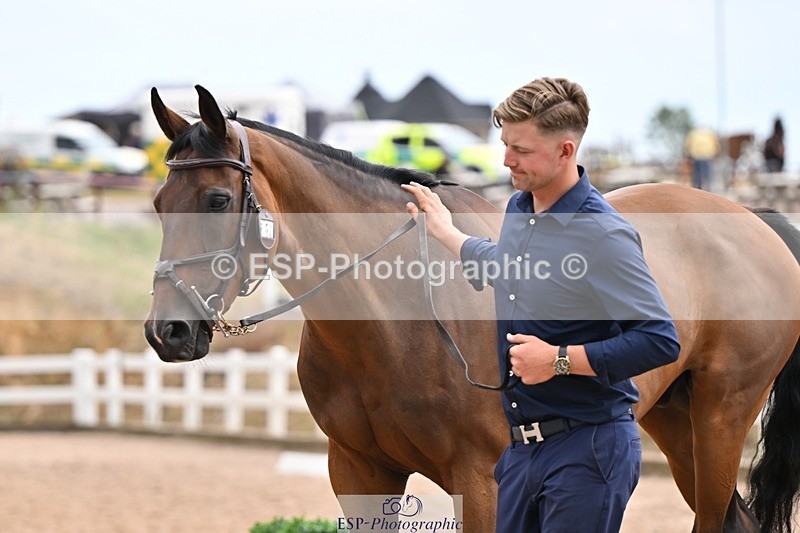 250716-145240-01470 - Trot Up 2.30 to 3.30