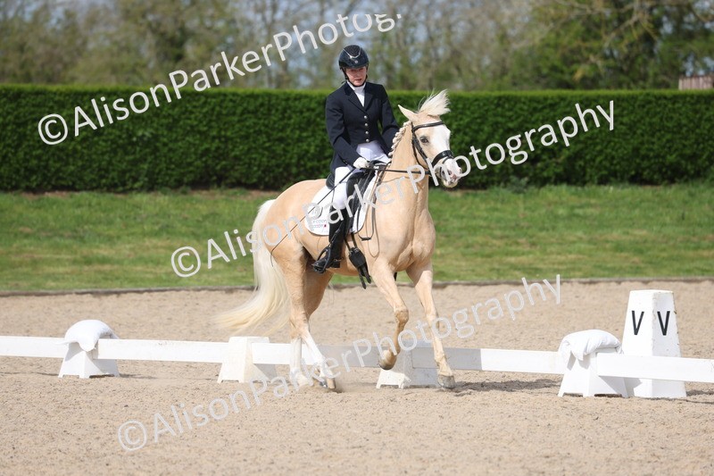 20260405-0202 - Class 3 - Novice 5