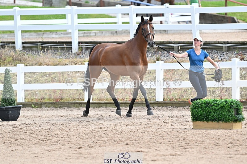 240717A-142834-02077 - Trot Up 2pm to 3pm - This folder is not in time order