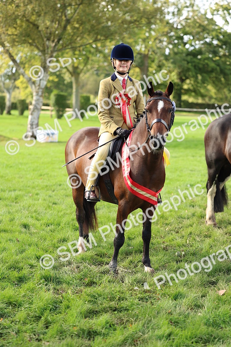 SBM_46394 - Working Hunter Pony Supreme Championship