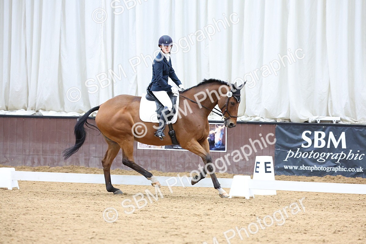 SBM_003975 - Elementary 1