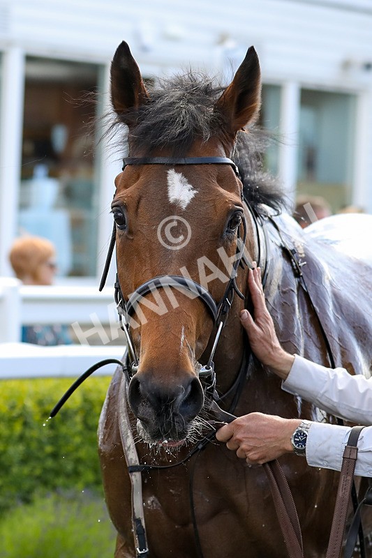 080624-Race 5-Gibside-4945 - Race 5