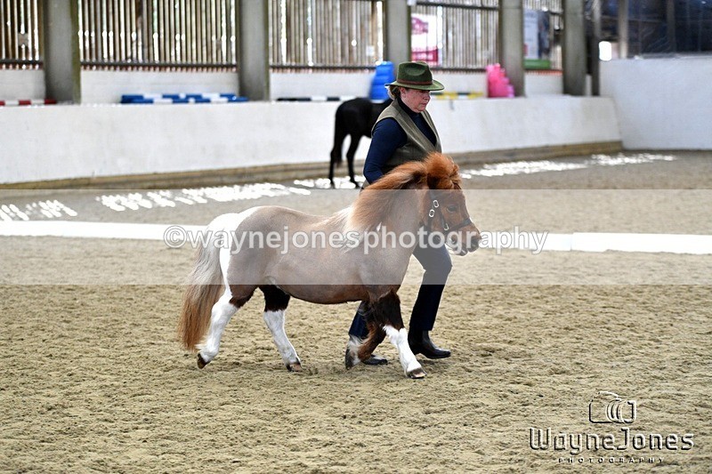 WJ5_4872 - Edited examples