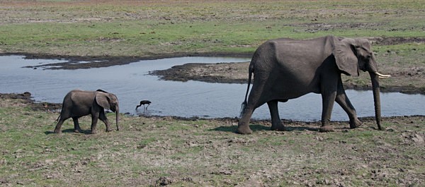  - African Journey