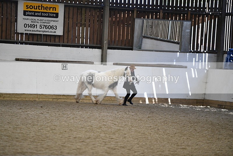 WJ5_5269 - Class 8 In hand cob