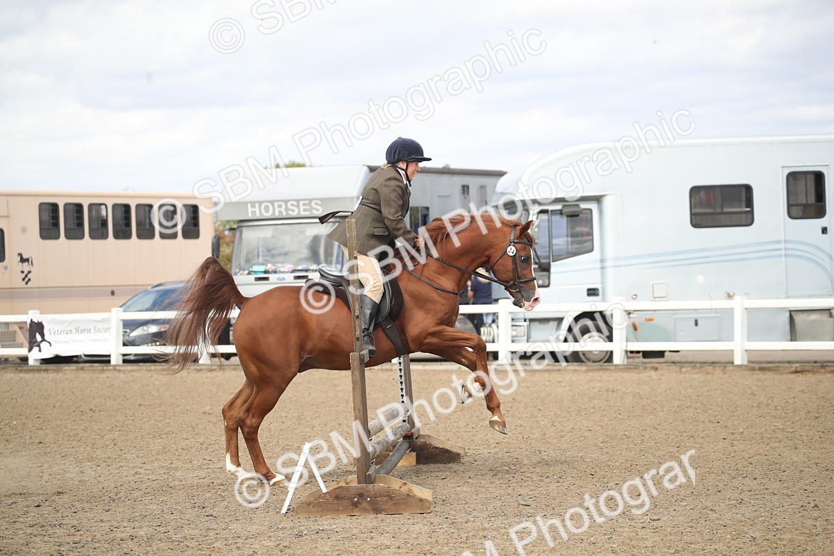 SBM_15283 - Class 506b - Working Veteran - 50cm (20+)