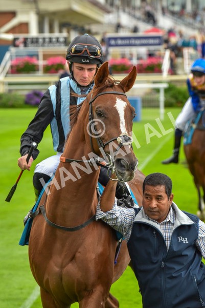 230923-Race 2-Palamon-6006 - Race 2 2.35pm jigsawsportsbranding.co.uk Handicap