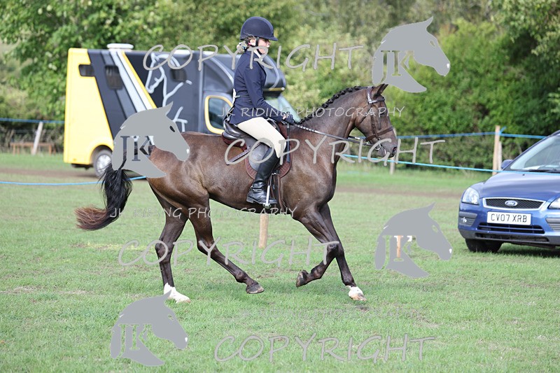 APP_4175 - Class 15a/b Pony club pony/Riding club horse