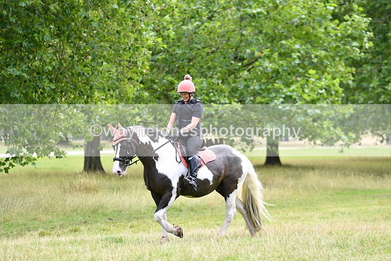 WJ5_2346 - Time at Jump 14:02 to 14:46