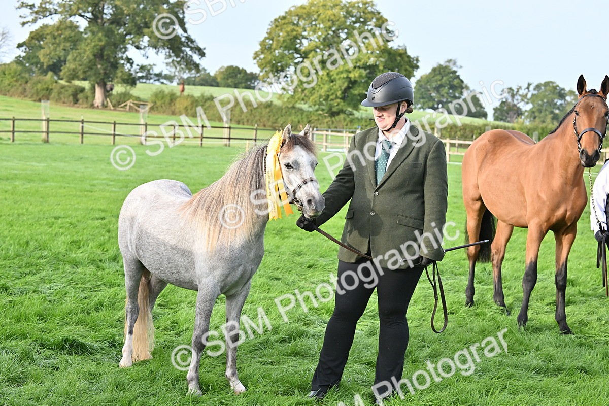 SBM_55402 - S44 - Youngstock In Hand