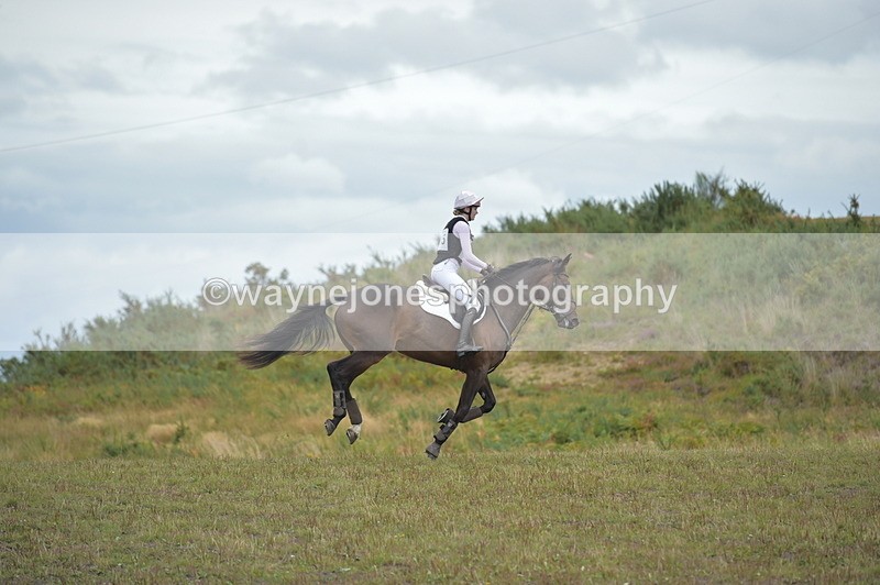 NGP_3993 - XC Time 12:36 to 12:57