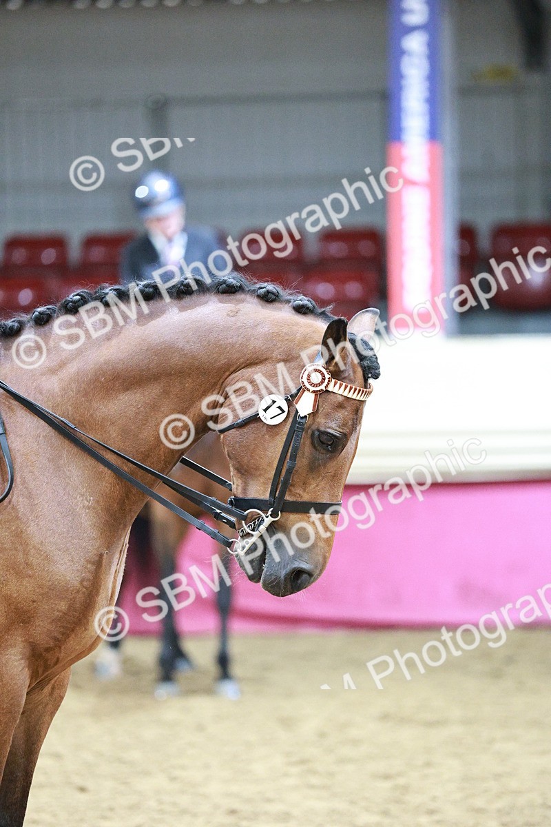 SBM_03537 - Class 6A Area Ridden Pre-Vet
