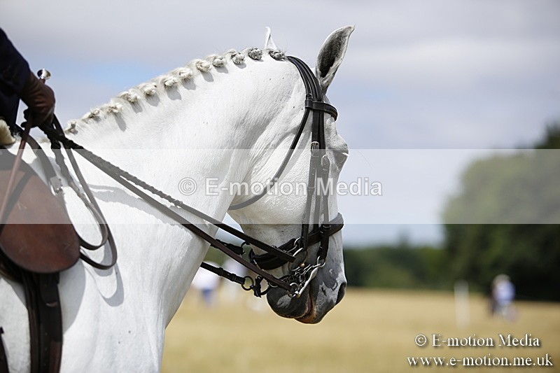 _C7A0285 - Side Saddle Classes BVRC Show 2018