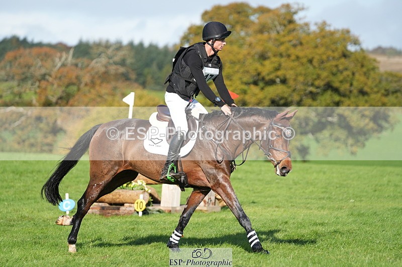 251024A-112123-07211 - A-017-Harrison.Chart