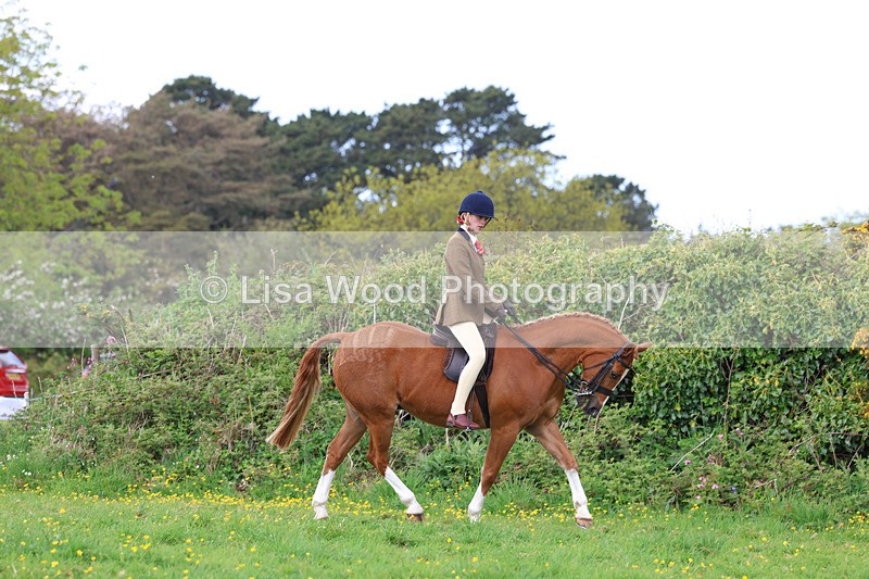 3E7A2024 - Class 10: Ridden Sports Horse