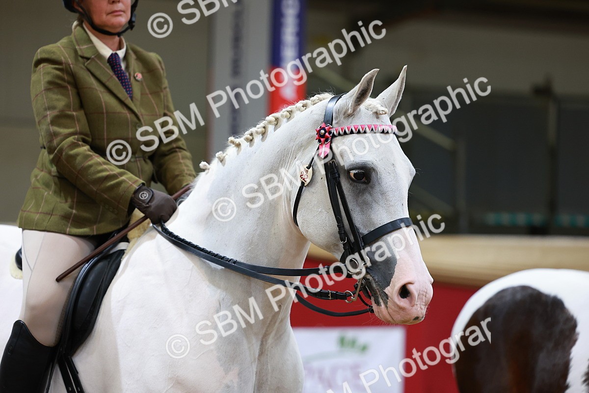 SBM_05501 - Class 11R - Ridden Veteran