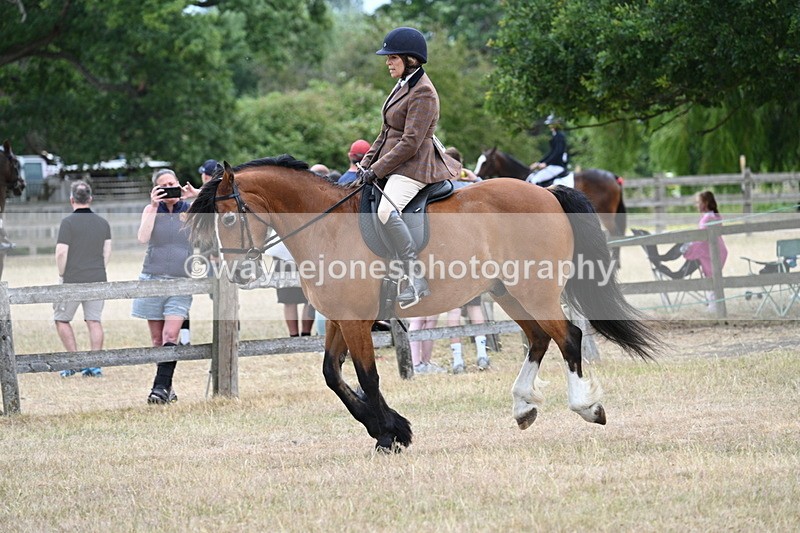 WJ7_0581 - Class 6 Ridden Mountain and Moorland