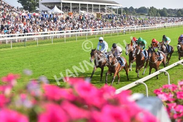 yr05092021r5-38 - Race 5 4.20pm Little Green Rascals Children's Nurseries Stakes