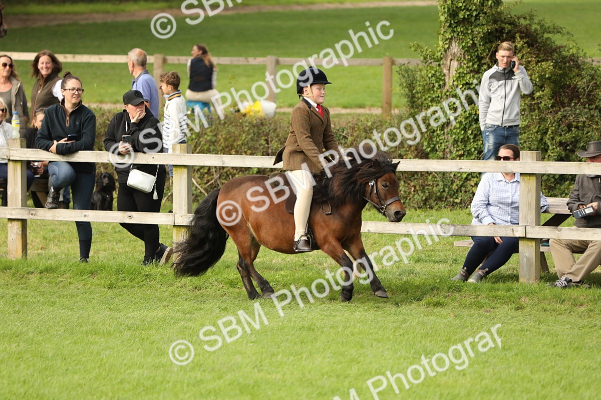 SBM_71520 - S41 - Ridden Equitation (Best Rider)