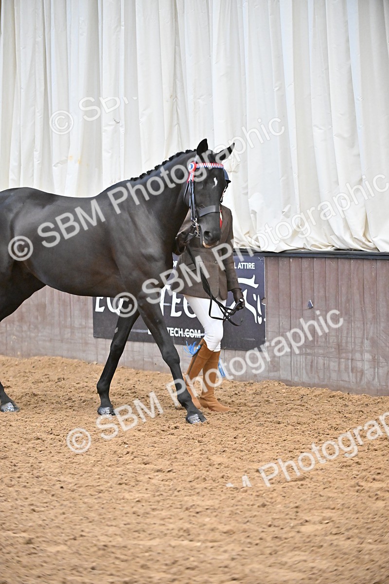 SBM_000201 - Class 7 - ROR Tattersalls In Hand