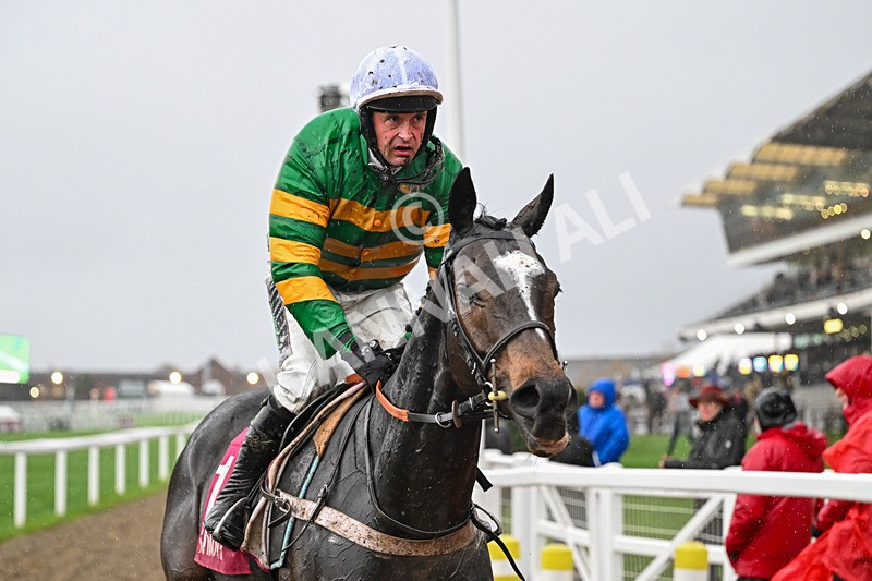 141125-Race 4-Jonbon-0468 - Race 4