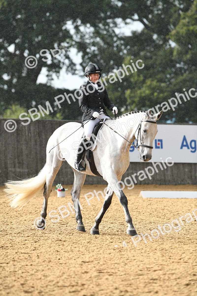 SBM_11145 - D28 Elementary Taster Elementary 42