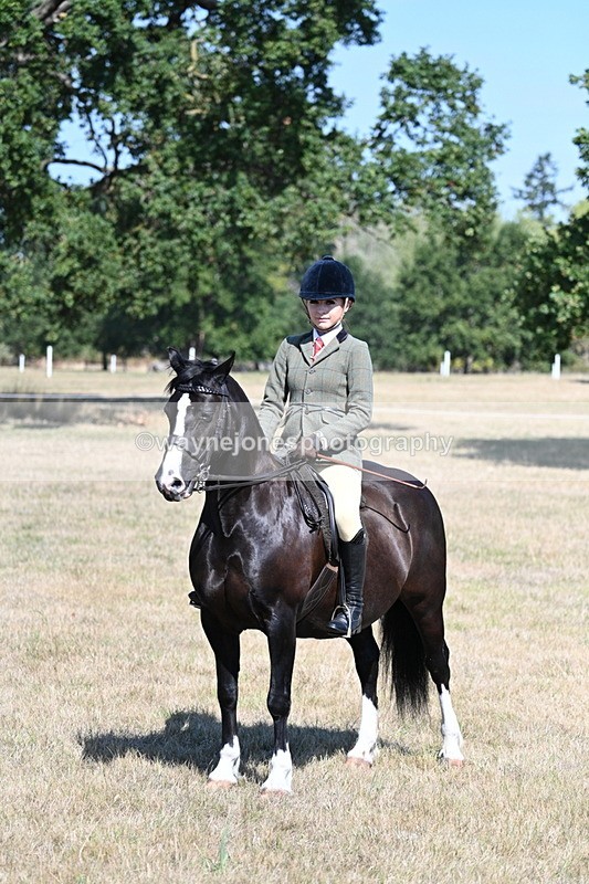 WJ7_4094 - Class 9 Mountain & Moorland Ridden
