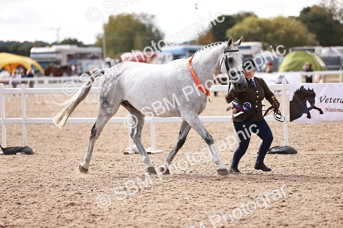 SBM_13377 - class 406 - IH Hunter