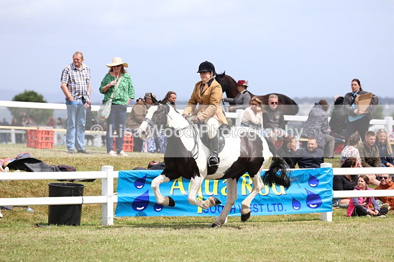 3E7A2048 - Class 10: Open Cob