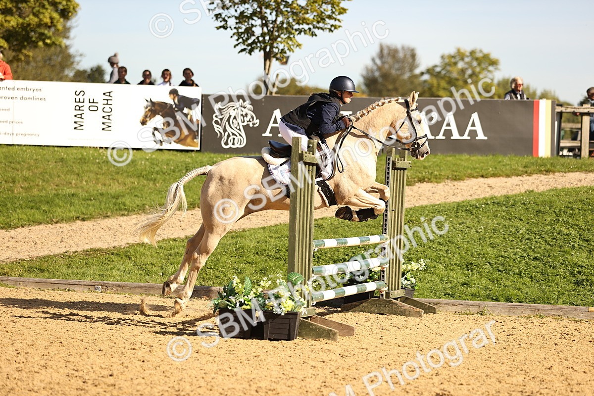 SBM_38046 - J39 - Senior 85cm Championship