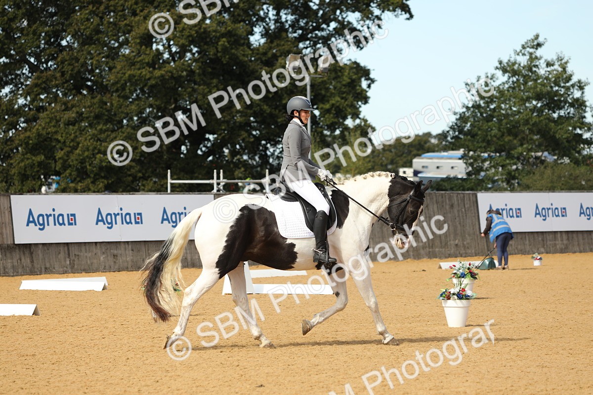 SBM_22248 - D17 - Grand Tour Championship - Novice 27