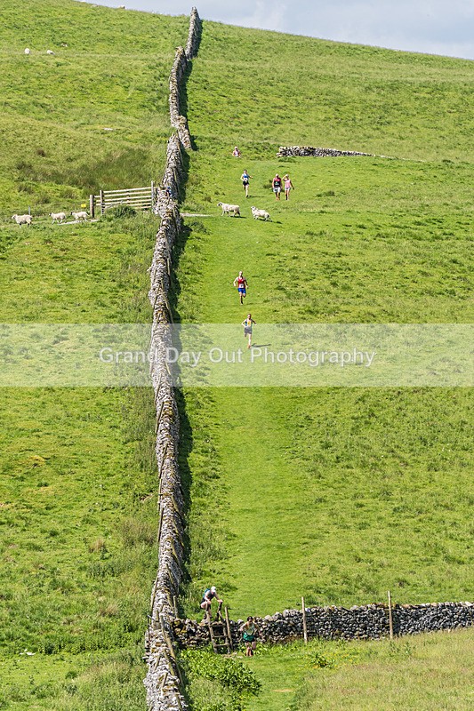 Settle Hills-5 - Settle Hills Fell Race Sunday 21st June 2026