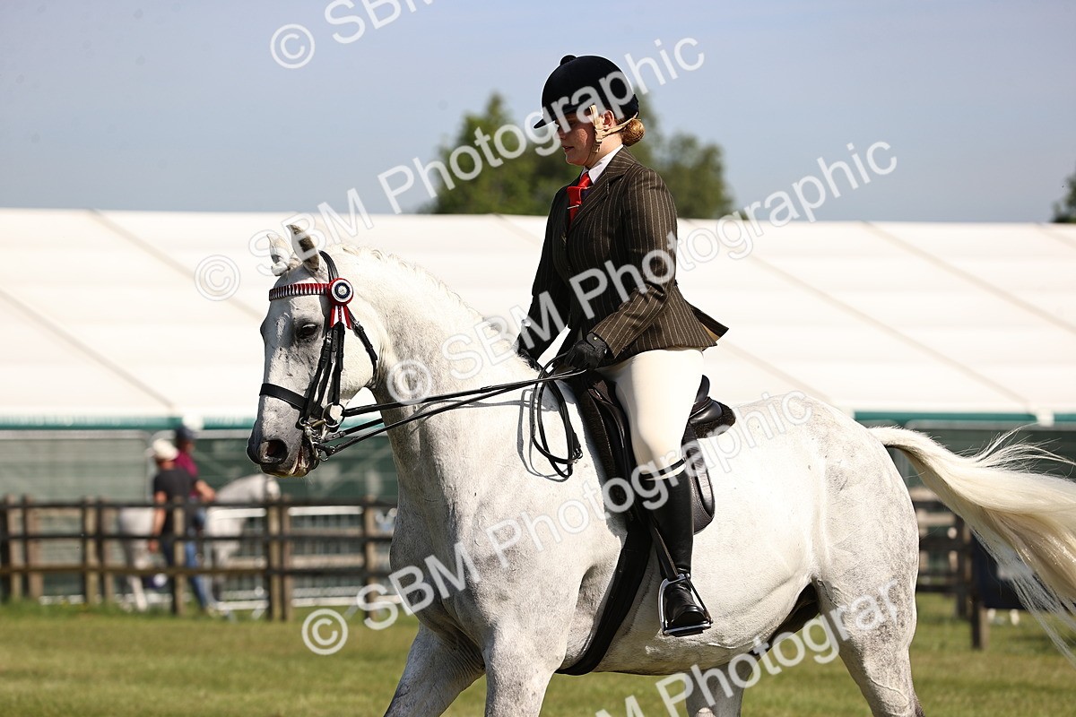 SBM_12917 - Class 75-76 LIHS BSHA Rising Star Hack Riding Horse
